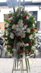 10 funebres santa rosa