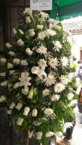 Foto de AsesoriaDigitalHoy (1)